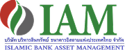 iam-asset